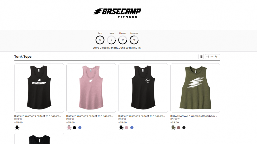 Web store Icon picture